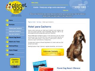 Thumbnail do site Planet Dog Resort - Hotel para cachorro