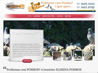 Thumbnail do site Insetotec - Eliminar pombos