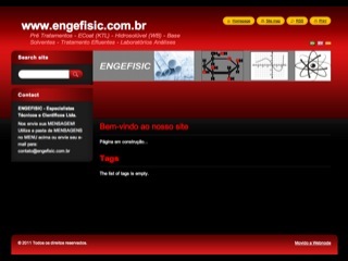 Thumbnail do site Engefisic - Especialistas Tcnicos e Cientficos Ltda