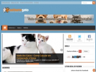 Thumbnail do site CachorroGato - Tudo sobre cachorros e gatos