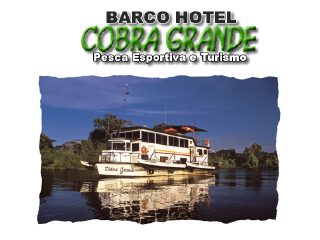 Thumbnail do site Barco Hotel Cobra Grande