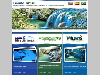Thumbnail do site Bonito Web