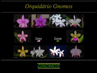 Thumbnail do site Orquidrio Gnomos