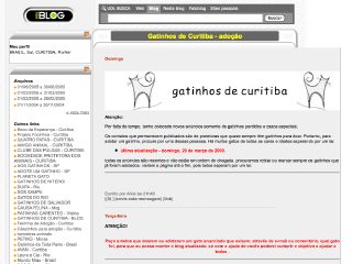 Thumbnail do site Gatinhos de Curitiba - adote!