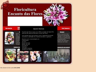 Thumbnail do site Floricultura Encanto das Flores